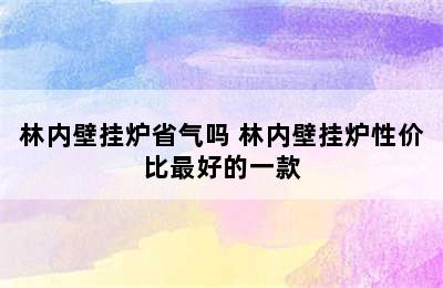 林内壁挂炉省气吗 林内壁挂炉性价比最好的一款